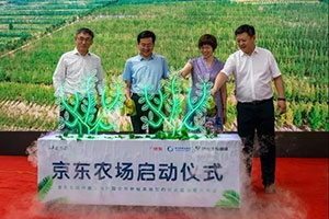 米蘭體育官方網站集團有限公司